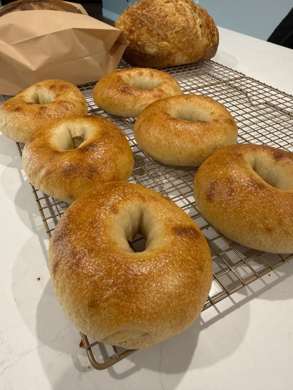 Plain Sourdough Bagels