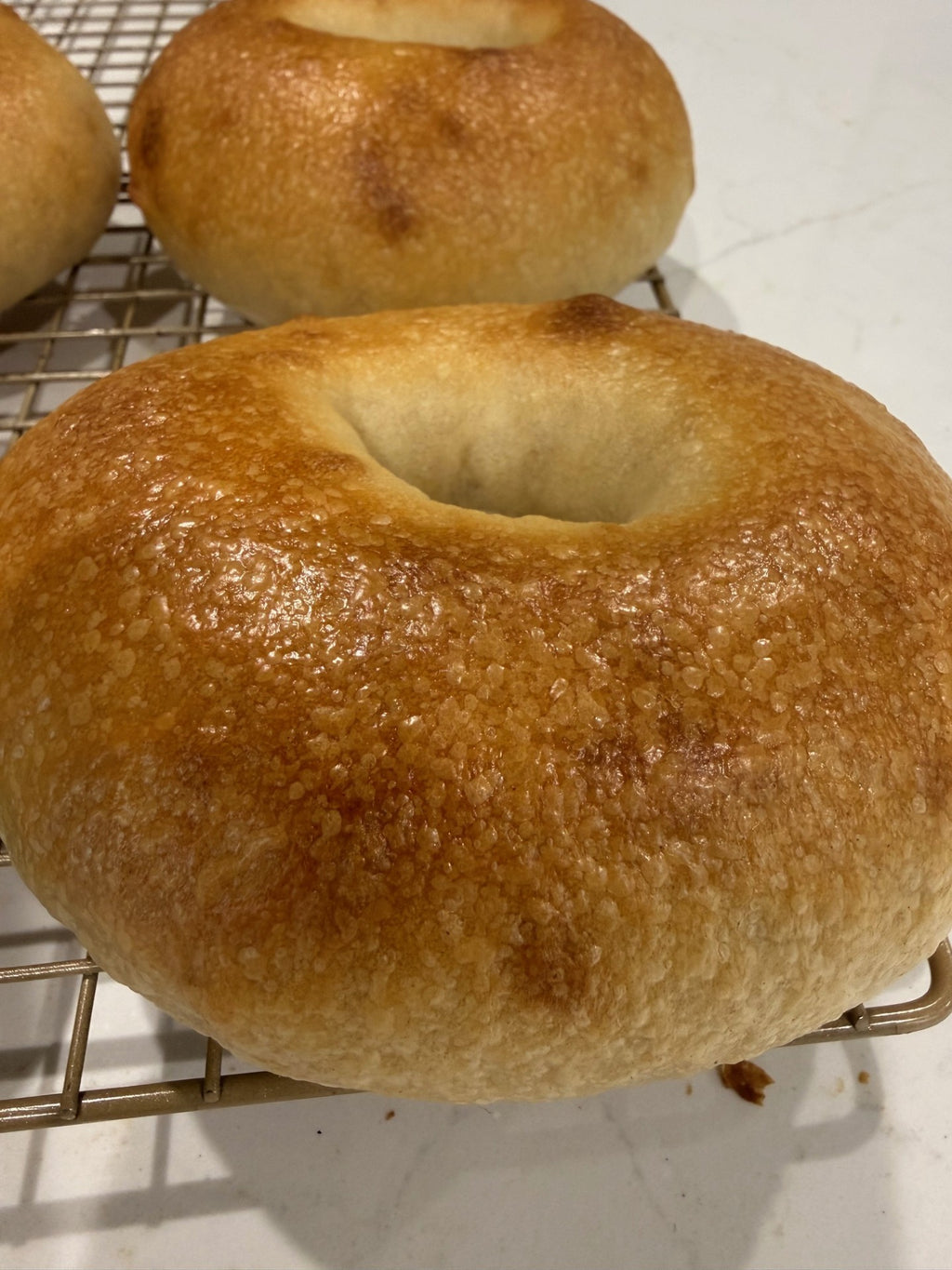 Plain Sourdough Bagels